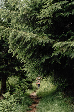 Narrow Forest Path in Haldertobel Gorge, Allg&auml;u Alps