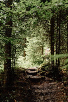Forest Path with Wooden Steps in Haldertobel Gorge, Allg&auml;u Alps