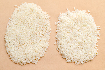 カルローズとコシヒカリ