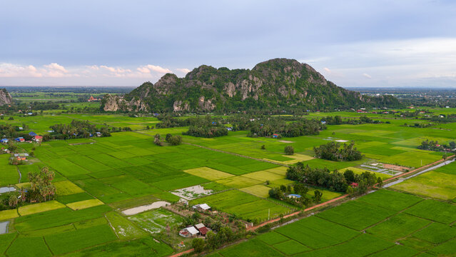 Aerial view of a ricefield and villas in Kampot , Cambodia