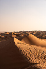 Desert sand dunes creating sweeping patterns at golden hour in oman