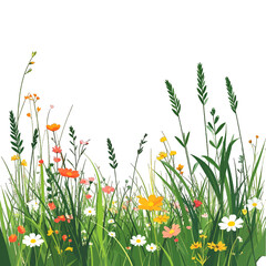 Vibrant Meadow Scene with Orange Yellow Pink Flowers and Lush Green Grass Against a Clean White Background in Natural Lighting