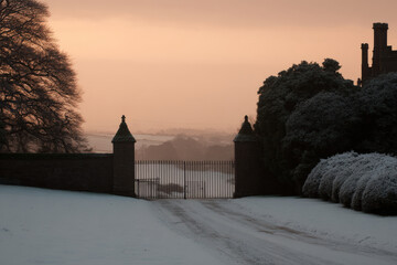 stylish and minimalist composition featuring elegant pen alongside open notebook on clean background