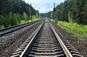 Fototapeta premium a perspective Railway Track Winding Through a Lush Green Forest