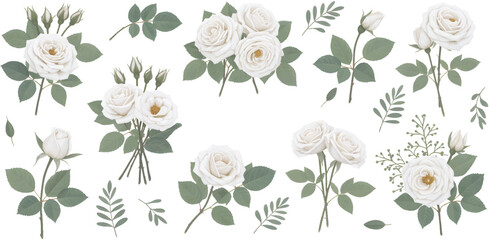 Elegant white rose floral clipart set with botanical leaves, detailed flower illustrations perfect for wedding decor, invitations, crafts, and digital designs