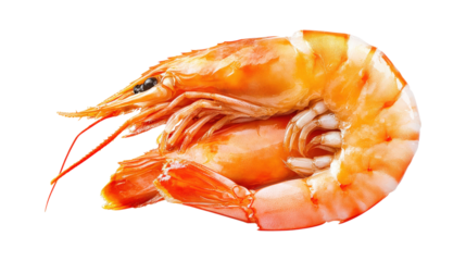 Cooked shrimp with orange shell isolated on a transparent background