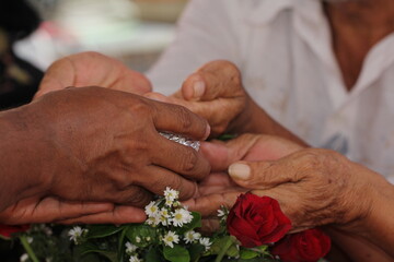 Close - up of hands of Thai pour water on elders' hands for blessings, Songkran Festival