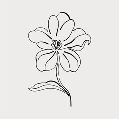 Abstract flower drawing. Minimal botanical design, floral graphic sketch, leaf and blooming flower doodle element, simple plant icon for branding. Trendy vector illustration