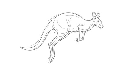 Obraz premium Line Art Kangaroo Illustration