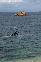 View of the waters and coastline of the northern coast of France - the sea in Brittany and Normandy