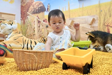 A toddler plays with toys in a yellow pellet - filled play area, with a farm - themed backdrop.