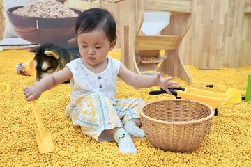 A toddler plays with toys in a yellow pellet - filled play area, with a farm - themed backdrop.