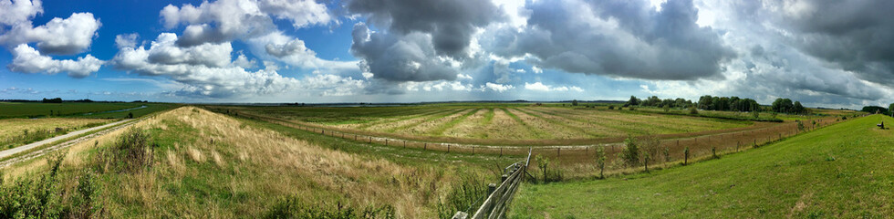 Typical Dutch landscape panorama of a field with grass and fences