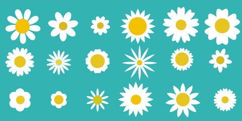 Fototapeta premium Daisy camomile set flowers. Cute round floral plants on the pink background