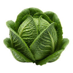 Obraz premium Fresh, vibrant romaine lettuce head with glistening water droplets, perfect for healthy eating, cooking, and culinary projects, ready for your creative needs