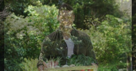 Smiling mid adult man wearing olive shirt holding wooden box in garden with carrots, leafy greens