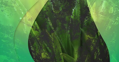 Displaying large dark green teardrop form in closeup with sheer curved panels and speckled grain © vectorfusionart