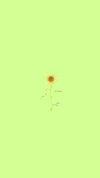 dandelion in the wind