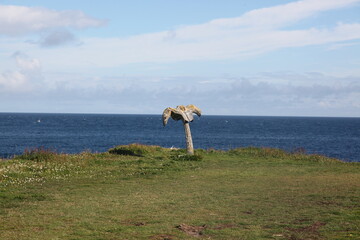 Scenic coastal landscape of Birsay, Orkney, featuring windswept beaches, rocky shores, and sweeping ocean vistas of northern Scottish coastline
