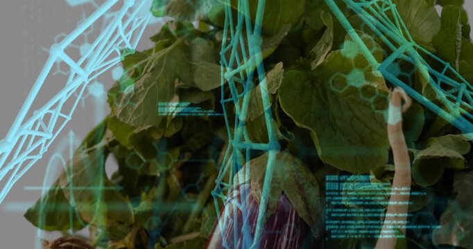 Sequence starting, wireframe and code panels sliding over leafy greens, mapping nutrient data