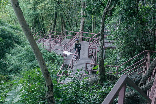 view of a lone person, seen from the front, standing on a wooden and reddish-pink metal elevated walkway/staircase built through a dense, lush tropical forest, surrounded by green foliage and tree tru