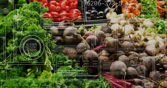 Piled herbs and beets being scanned on HUD activation, overlays shifting, updating stock