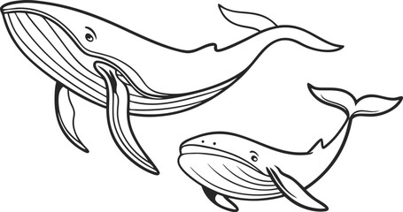 Majestic humpback whales swimming gracefully, a simple yet powerful vector art illustration perfect for ocean conservation and educational projects