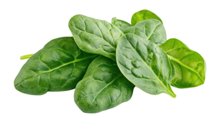 Fresh Spinach Leaves Pile isolated on a transparent background