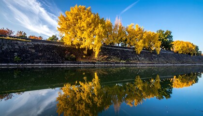 A scenic photo captures autumn foliage, vibrant yellow trees reflected in calm water with a clear sky backdrop