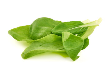 Baby Bok Choy Leaves, isolated on white background