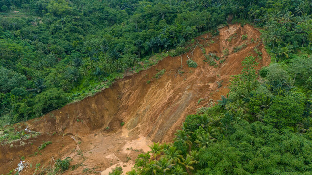 landslide slope level reveals lush vegetation overwhelmed by earth's destructive power.