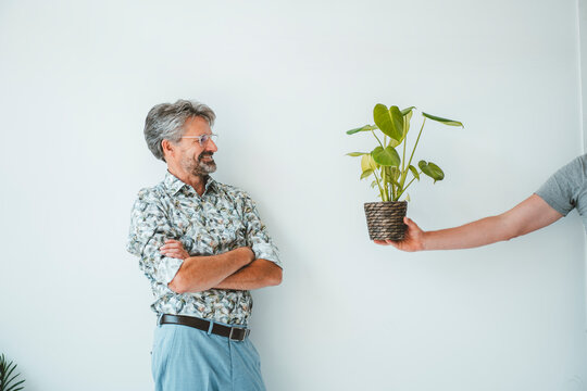 Hand of man giving plant to businessman