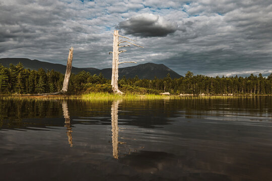View of dead tree and Mount Katahdin from Daicy Pond, Maine