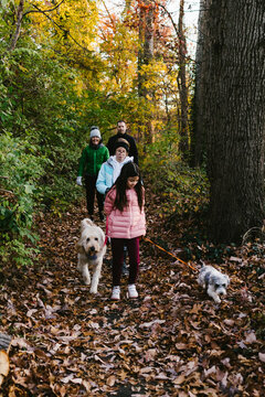 Tween multiracial girls and parents hike through the forest in fall