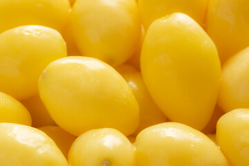 Close-up of yellow ginkgo nuts for background.
