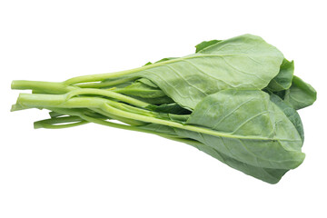 Bunch of fresh Chinese broccoli (Gai Lan) isolated on a transparent background