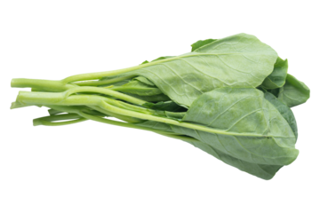 Bunch of fresh Chinese broccoli (Gai Lan) isolated on a transparent background