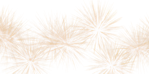 new year fireworks explosion texture isolated on white or transparent png