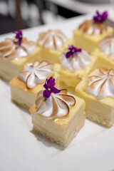 cheese cakes tartlets topped with toasted meringue and purple Viola edible flower on a white square serving platter