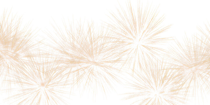 new year fireworks explosion texture isolated on white or transparent png