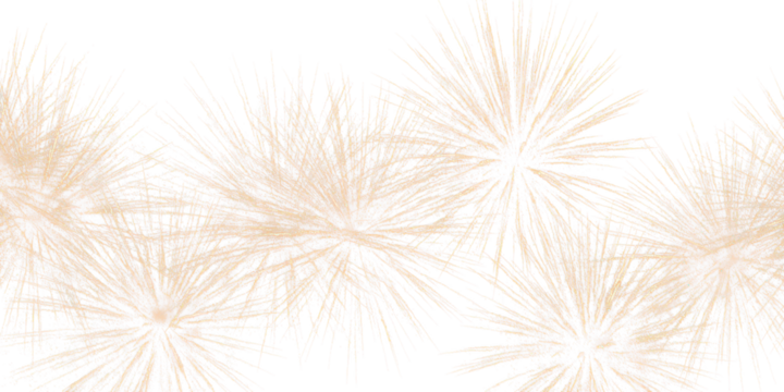 new year fireworks explosion texture isolated on white or transparent png
