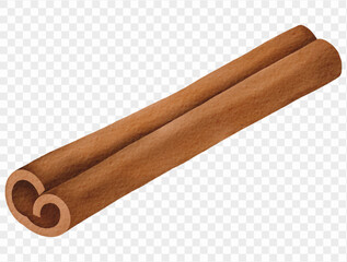 Watercolor cinnamon sticks illustration for autumn cooking and Thanksgiving design. Vector.