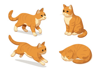 Set of four cute orange tabby cats walking, sitting, running, and sleeping