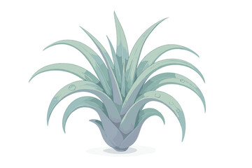 Pale green air plant with fresh water droplets on detailed botanical leaves