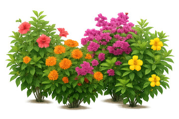 Obraz premium Lush garden shrub border featuring vibrant red, orange, pink, and yellow blossoms with abundant green foliage, transparent background