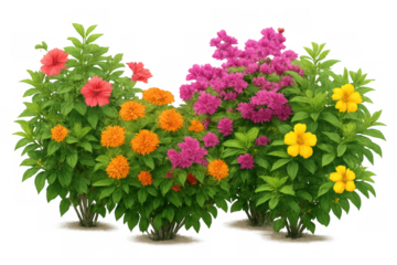 Lush garden shrub border featuring vibrant red, orange, pink, and yellow blossoms with abundant green foliage, transparent background