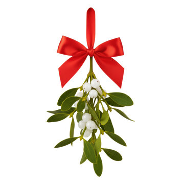 Hanging mistletoe bunch with white berries and red bow