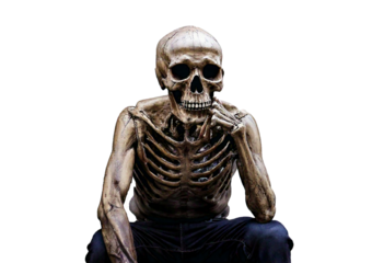 Skull sitting and thinking isolated on a transparent or white background.