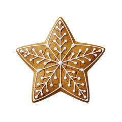 Gingerbread star cookie with white snowflake icing
