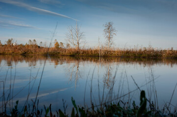 colorful orange autumn on a forest lake on a sunny day